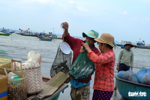 Về Tam Hải nghe đá thở - Ảnh 12. Về Tam Hải nghe đá thở - Ảnh 12.