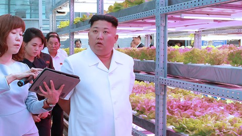 Bí mật về tỉ giá hối đoái của Triều Tiên - Ảnh 1. Bí mật về tỉ giá hối đoái của Triều Tiên - Ảnh 1.