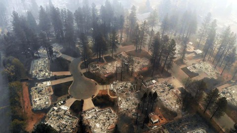 Đáng thương cảnh động vật cháy xém sau cháy rừng ở California - Ảnh 3. Đáng thương cảnh động vật cháy xém sau cháy rừng ở California - Ảnh 3.