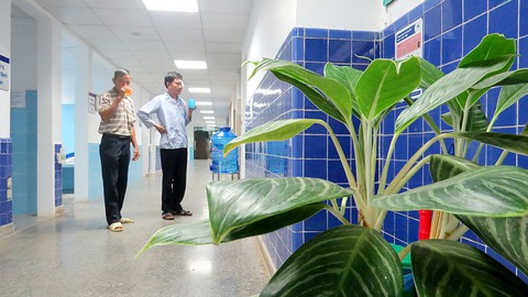 Khám bệnh với nụ cười - Ảnh 3. Khám bệnh với nụ cười - Ảnh 3.