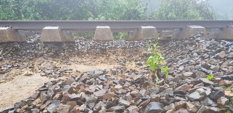 Tuyến đường sắt Bắc - Nam thông suốt sau nhiều giờ tê liệt - Ảnh 2. Tuyến đường sắt Bắc - Nam thông suốt sau nhiều giờ tê liệt - Ảnh 2.