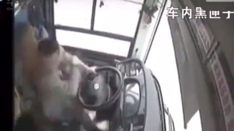 Nữ hành khách ẩu đả với tài xế khiến xe rớt sông, 13 người chết - Ảnh 2. Nữ hành khách ẩu đả với tài xế khiến xe rớt sông, 13 người chết - Ảnh 2.