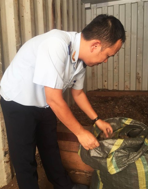 Phát hiện vảy tê tê ngụy trang trong gỗ nhập khẩu tại cảng Hải Phòng - Ảnh 2. Phát hiện vảy tê tê ngụy trang trong gỗ nhập khẩu tại cảng Hải Phòng - Ảnh 2.