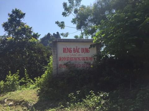 Ngang nhiên phá rừng đặc dụng trái phép ngay TP Thanh Hóa - Ảnh 3. Ngang nhiên phá rừng đặc dụng trái phép ngay TP Thanh Hóa - Ảnh 3.