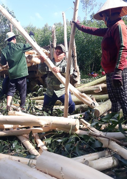 Nhọc nhằn sau những chiếc huy chương - Ảnh 4. Nhọc nhằn sau những chiếc huy chương - Ảnh 4.