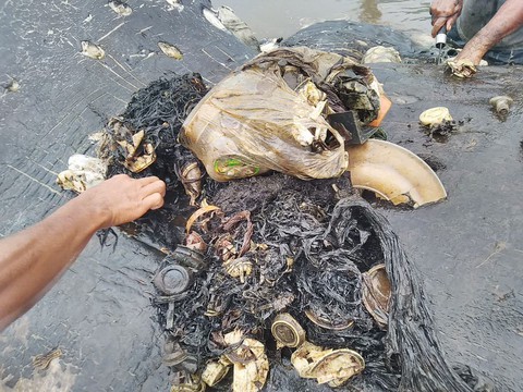 Cá nhà táng chết dạt vào bờ với 5,9kg rác nhựa trong bụng - Ảnh 4. Cá nhà táng chết dạt vào bờ với 5,9kg rác nhựa trong bụng - Ảnh 4.