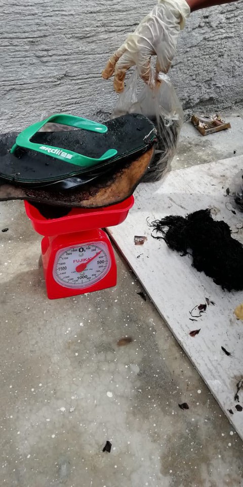 Cá nhà táng chết dạt vào bờ với 5,9kg rác nhựa trong bụng - Ảnh 3. Cá nhà táng chết dạt vào bờ với 5,9kg rác nhựa trong bụng - Ảnh 3.