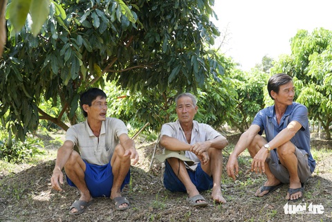 Sát hại cả vườn cây chỉ vì mâu thuẫn nhỏ - Ảnh 2. Sát hại cả vườn cây chỉ vì mâu thuẫn nhỏ - Ảnh 2.