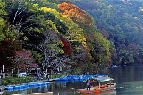 Chiêm ngưỡng cảnh sắc tuyệt đẹp ở công viên Arashiyama, Kyoto - Ảnh 2. Chiêm ngưỡng cảnh sắc tuyệt đẹp ở công viên Arashiyama, Kyoto - Ảnh 2.
