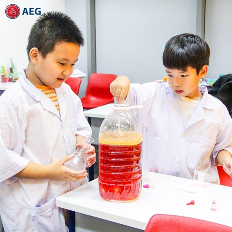 Cho trẻ học ngoại ngữ, cần nhìn xa ra xu hướng thế giới - Ảnh 3. Cho trẻ học ngoại ngữ, cần nhìn xa ra xu hướng thế giới - Ảnh 3.