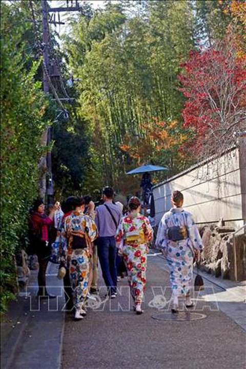 Chiêm ngưỡng cảnh sắc tuyệt đẹp ở công viên Arashiyama, Kyoto - Ảnh 4. Chiêm ngưỡng cảnh sắc tuyệt đẹp ở công viên Arashiyama, Kyoto - Ảnh 4.