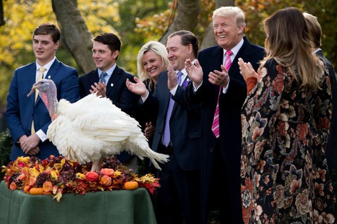 Lễ Tạ ơn Thanksgiving của Mỹ ngoài gà tây còn có những gì? - Ảnh 8. Lễ Tạ ơn Thanksgiving của Mỹ ngoài gà tây còn có những gì? - Ảnh 8.