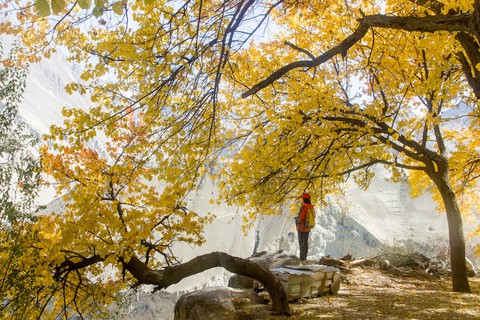 Huyền thoại mùa thu ở Hunza - miền Bắc Pakistan - Ảnh 1. Huyền thoại mùa thu ở Hunza - miền Bắc Pakistan - Ảnh 1.