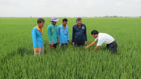 Nhiều mô hình tốt nâng cao cuộc sống cho nông dân - Ảnh 1. Nhiều mô hình tốt nâng cao cuộc sống cho nông dân - Ảnh 1.
