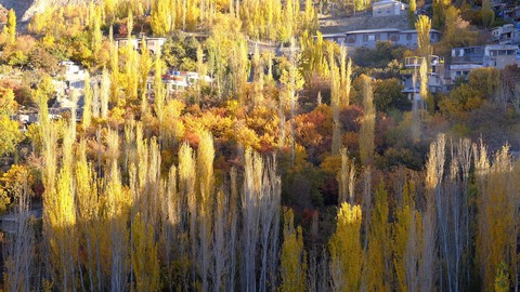 Huyền thoại mùa thu ở Hunza - miền Bắc Pakistan - Ảnh 5. Huyền thoại mùa thu ở Hunza - miền Bắc Pakistan - Ảnh 5.