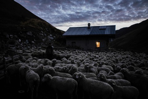 Theo chân người chăn cừu trên vùng đồng cỏ núi Alps - Ảnh 17. Theo chân người chăn cừu trên vùng đồng cỏ núi Alps - Ảnh 17.