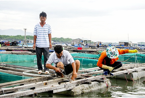Hai tàu cá của Bà Rịa - Vũng Tàu mất liên lạc trên biển - Ảnh 1. Hai tàu cá của Bà Rịa - Vũng Tàu mất liên lạc trên biển - Ảnh 1.