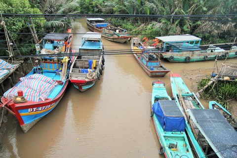 Ninh Thuận, Vũng Tàu, các tỉnh miền Tây dồn lực chống bão - Ảnh 3. Ninh Thuận, Vũng Tàu, các tỉnh miền Tây dồn lực chống bão - Ảnh 3.