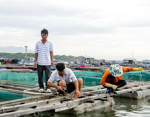 Ninh Thuận, Vũng Tàu, các tỉnh miền Tây dồn lực chống bão - Ảnh 1. Ninh Thuận, Vũng Tàu, các tỉnh miền Tây dồn lực chống bão - Ảnh 1.