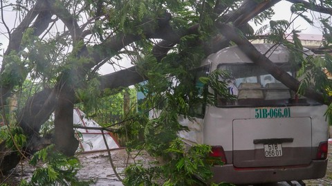 TP.HCM ngập diện rộng, cây ngã đè chết người đi đường - Ảnh 10. TP.HCM ngập diện rộng, cây ngã đè chết người đi đường - Ảnh 10.