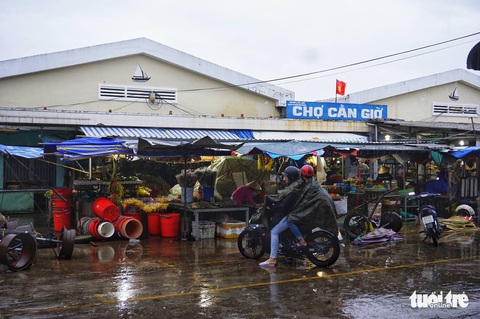 Vũng Tàu bắt đầu mưa to, cây gãy đổ - Ảnh 3. Vũng Tàu bắt đầu mưa to, cây gãy đổ - Ảnh 3.