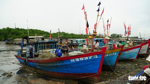 Cần Giờ không có thiệt hại về người trong bão - Ảnh 1. Cần Giờ không có thiệt hại về người trong bão - Ảnh 1.