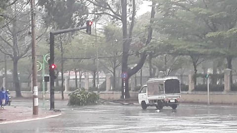 Vũng Tàu bắt đầu mưa to, cây gãy đổ - Ảnh 8. Vũng Tàu bắt đầu mưa to, cây gãy đổ - Ảnh 8.