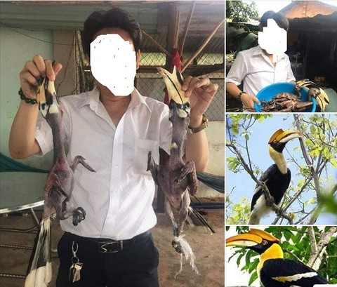 Người đàn ông khoe ảnh chim bị giết thịt gây tranh cãi - Ảnh 1. Người đàn ông khoe ảnh chim bị giết thịt gây tranh cãi - Ảnh 1.