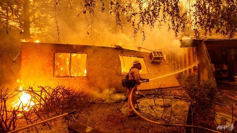 Đã khống chế toàn bộ đám cháy rừng chết chóc nhất ở California - Ảnh 3. Đã khống chế toàn bộ đám cháy rừng chết chóc nhất ở California - Ảnh 3.