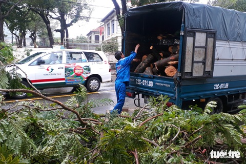 Vũng Tàu trở lại cuộc sống bình thường sau bão - Ảnh 1. Vũng Tàu trở lại cuộc sống bình thường sau bão - Ảnh 1.