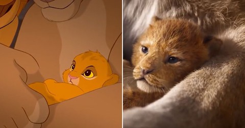 Sư tử Simba làm tan chảy trái tim khán giả trong phiên bản mới - Ảnh 4. Sư tử Simba làm tan chảy trái tim khán giả trong phiên bản mới - Ảnh 4.