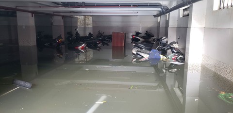 Hàng trăm xe máy ngập sâu trong tầng hầm căn hộ cho thuê - Ảnh 1. Hàng trăm xe máy ngập sâu trong tầng hầm căn hộ cho thuê - Ảnh 1.