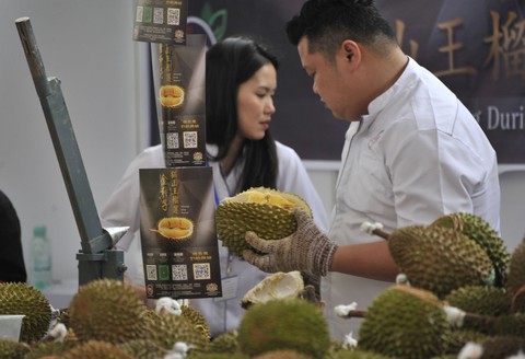 Malaysia dẹp bỏ cọ, trồng sầu riêng bán cho Trung Quốc - Ảnh 3. Malaysia dẹp bỏ cọ, trồng sầu riêng bán cho Trung Quốc - Ảnh 3.