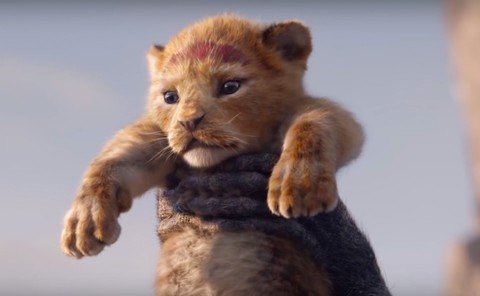 Quá mê The Lion King, khán giả chế ảnh Simba phiên bản chó mèo - Ảnh 5. Quá mê The Lion King, khán giả chế ảnh Simba phiên bản chó mèo - Ảnh 5.