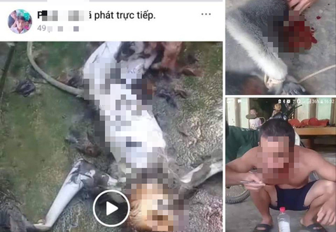 Lại giết khỉ ăn óc khoe phây: nghĩ sao đây?! - Ảnh 1. Lại giết khỉ ăn óc khoe phây: nghĩ sao đây?! - Ảnh 1.
