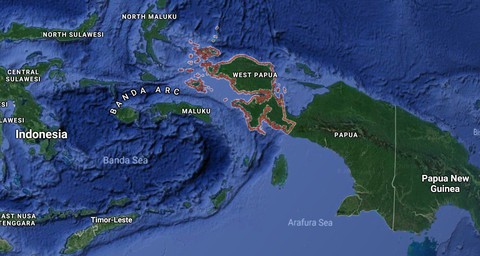 Tới Tây Papua xem bộ lạc Kombai làm nhà cao chót vót - Ảnh 2. Tới Tây Papua xem bộ lạc Kombai làm nhà cao chót vót - Ảnh 2.
