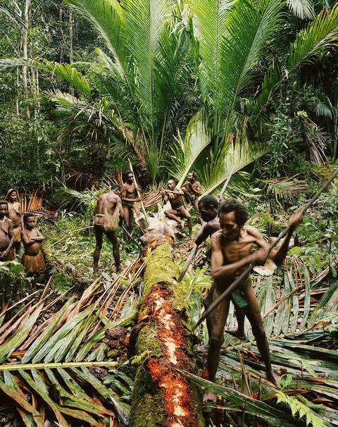 Tới Tây Papua xem bộ lạc Kombai làm nhà cao chót vót - Ảnh 5. Tới Tây Papua xem bộ lạc Kombai làm nhà cao chót vót - Ảnh 5.