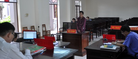 Vẫn chỉ xử người vận chuyển 116 trứng vích, không có người lấy trộm - Ảnh 2. Vẫn chỉ xử người vận chuyển 116 trứng vích, không có người lấy trộm - Ảnh 2.