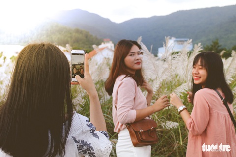 Trai xinh gái đẹp diễn sâu giữa đồng cỏ lau Đà Nẵng - Ảnh 11. Trai xinh gái đẹp diễn sâu giữa đồng cỏ lau Đà Nẵng - Ảnh 11.