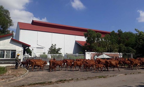 Tái diễn doanh nghiệp FDI bỏ trốn - Ảnh 1. Tái diễn doanh nghiệp FDI bỏ trốn - Ảnh 1.