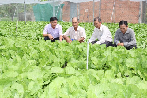 Phát triển thương hiệu cải bẹ xanh, lạp xưởng Cần Đước - Ảnh 1. Phát triển thương hiệu cải bẹ xanh, lạp xưởng Cần Đước - Ảnh 1.