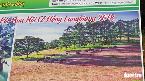 Dùng ảnh cỏ hồng không xin phép, huyện chỉ xin lỗi mà lơ chuyện tác quyền - Ảnh 3. Dùng ảnh cỏ hồng không xin phép, huyện chỉ xin lỗi mà lơ chuyện tác quyền - Ảnh 3.