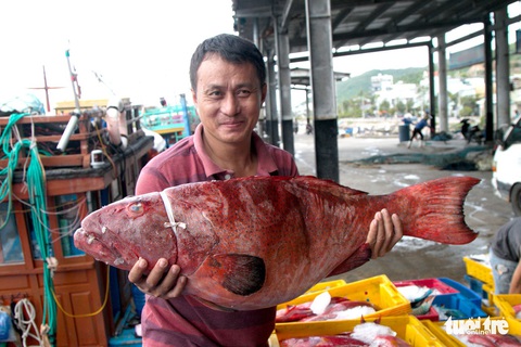 Đánh cá xa bờ: mưu sinh trên đầu ngọn sóng - Ảnh 1. Đánh cá xa bờ: mưu sinh trên đầu ngọn sóng - Ảnh 1.