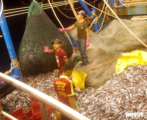 Đánh cá xa bờ: mưu sinh trên đầu ngọn sóng - Ảnh 7. Đánh cá xa bờ: mưu sinh trên đầu ngọn sóng - Ảnh 7.