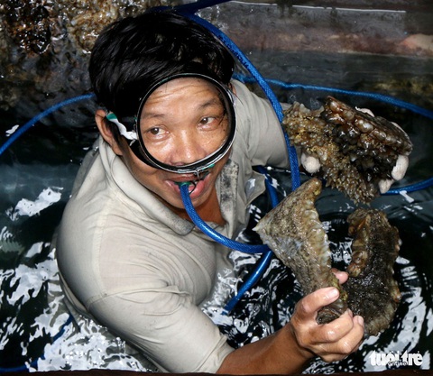 Đánh cá xa bờ: mưu sinh trên đầu ngọn sóng - Ảnh 5. Đánh cá xa bờ: mưu sinh trên đầu ngọn sóng - Ảnh 5.