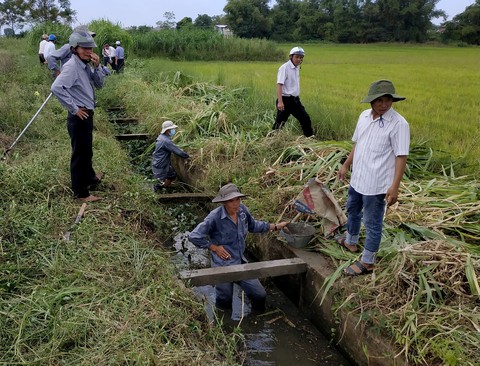 Bình Định kiểm tra vụ bêtông… cốt cây - Ảnh 1. Bình Định kiểm tra vụ bêtông… cốt cây - Ảnh 1.