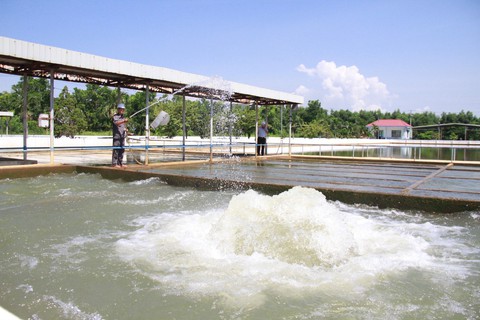 Ai cố tình tạo ra việc thiếu nước ở Đà Nẵng thì phải điều tra - Ảnh 2. Ai cố tình tạo ra việc thiếu nước ở Đà Nẵng thì phải điều tra - Ảnh 2.