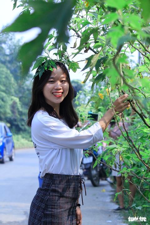 Hoa dã quỳ Ba Vì nở rộ hút giới trẻ Hà thành chụp ảnh check in - Ảnh 7. Hoa dã quỳ Ba Vì nở rộ hút giới trẻ Hà thành chụp ảnh check in - Ảnh 7.