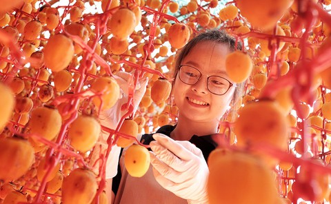 Cô gái yêu hồng gió Đà Lạt - Ảnh 2. Cô gái yêu hồng gió Đà Lạt - Ảnh 2.