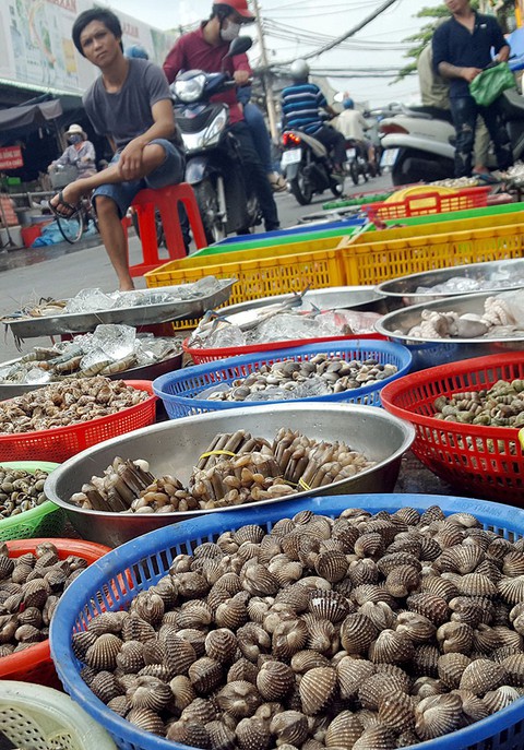 Thiếu hụt sò huyết, giá ở Singapore vẫn rẻ hơn Việt Nam - Ảnh 1. Thiếu hụt sò huyết, giá ở Singapore vẫn rẻ hơn Việt Nam - Ảnh 1.